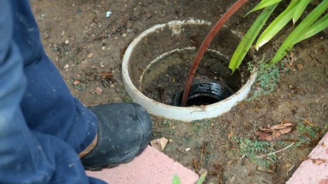 Flushed Secrets: Unraveling the Mysteries of Plumbing and Septic Systems