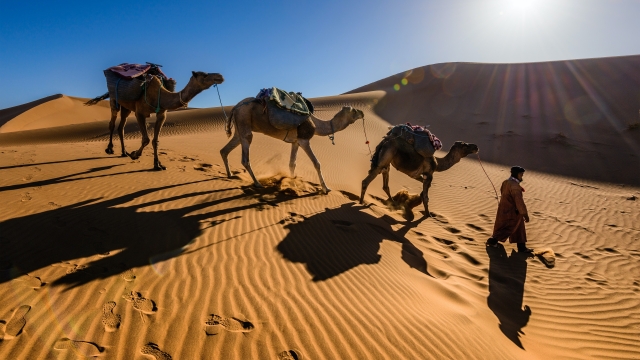 Journey into the Mystical Sands: Unforgettable Morocco Desert Tours