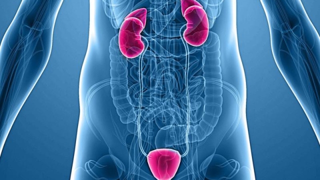 Pee-rfect Solutions: Exploring the World of Urology