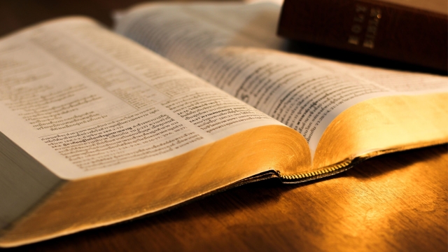 Unveiling the Wisdom: Exploring the Depths of Bible Study