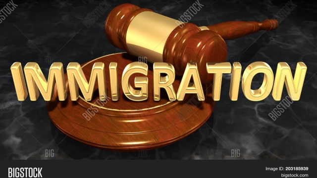 Navigating the Immigration Maze: Insights into the Complexities of Immigration Law