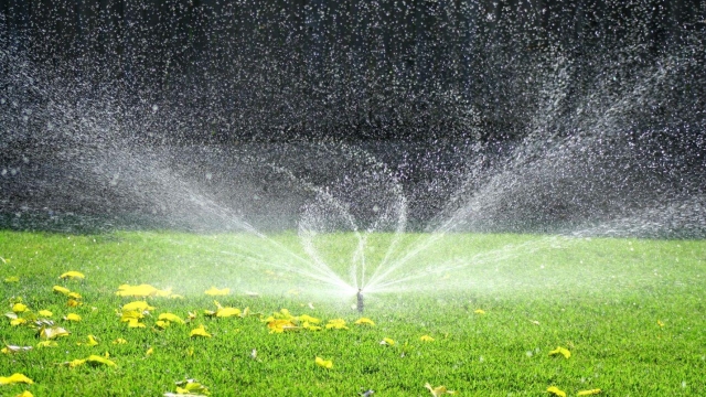 Sprinkler Bliss: Unveiling the Secrets to Perfect Maintenance
