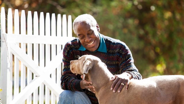 Paws and Whiskers: Unleashing the Joys of Pet Parenthood