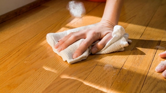 Revitalize Your Space: The Ultimate Guide to Choosing the Perfect Cleaning Service