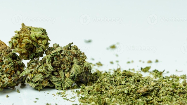 Cannabis Therapies: Exploring New Avenues for Treatment