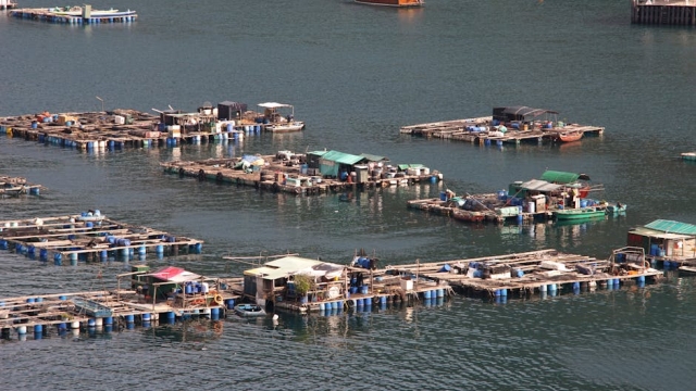 Overview of Aquaculture Equipment Types