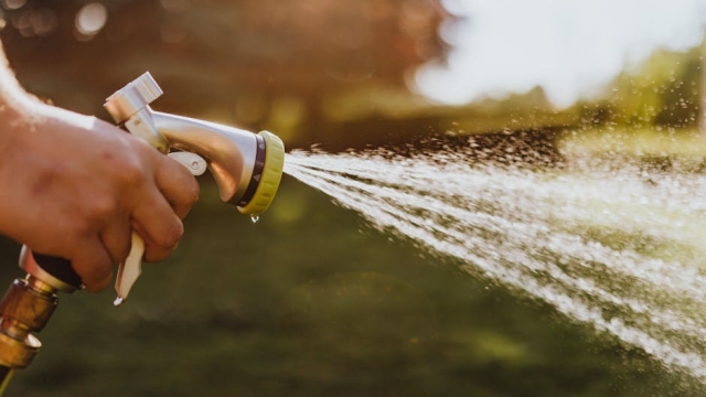 Common Pool System Issues and Symptoms