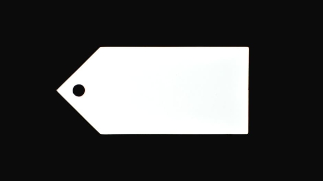 Understanding the Importance of Professional Pool Care