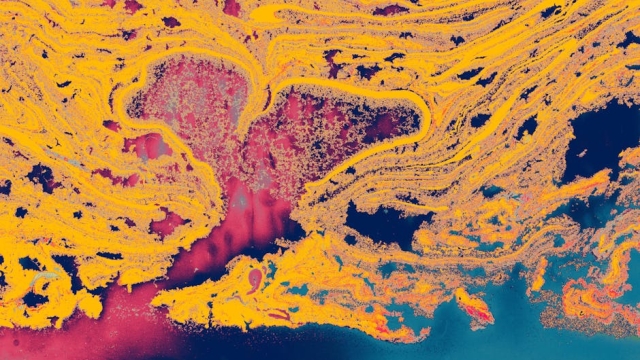 The Science Behind DMT and Personal Growth